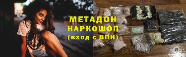 сатива Горняк