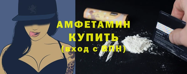 сатива Горняк
