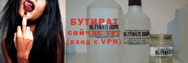 сатива Горняк