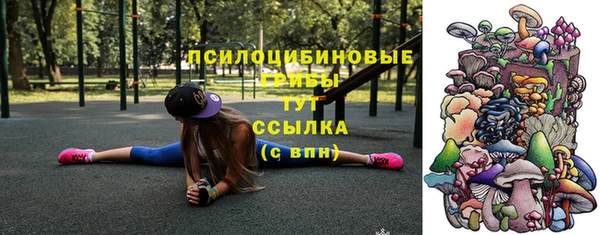 меф VHQ Гусев