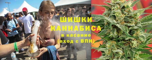 сатива Горняк