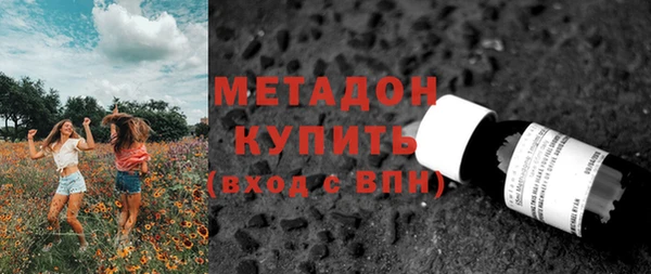 сатива Горняк