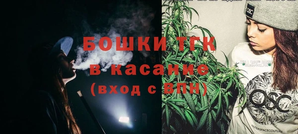 сатива Горняк