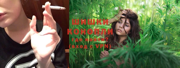 сатива Горняк
