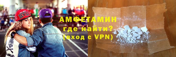 сатива Горняк