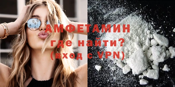 сатива Горняк