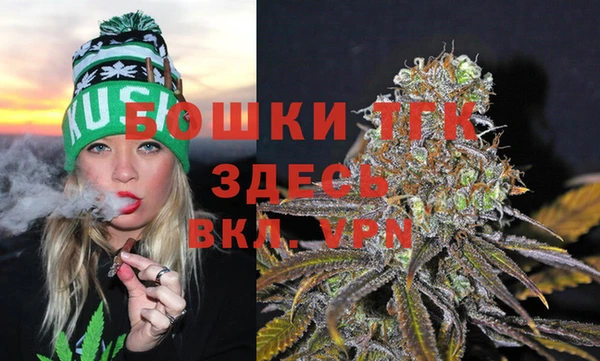 сатива Горняк