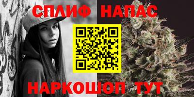 крисы Гагарин