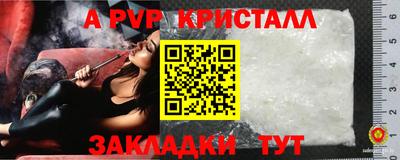 крисы Гагарин