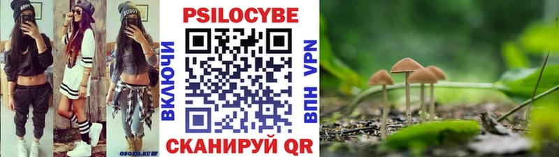 Галлюциногенные грибы прущие грибы  хочу наркоту  Мценск 